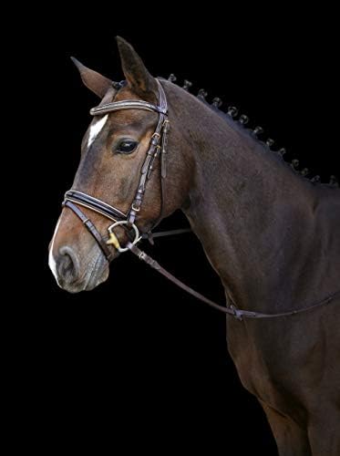 Bride Kingston Marron avec doré - Élégance et qualité pour votre cheval – Image 2