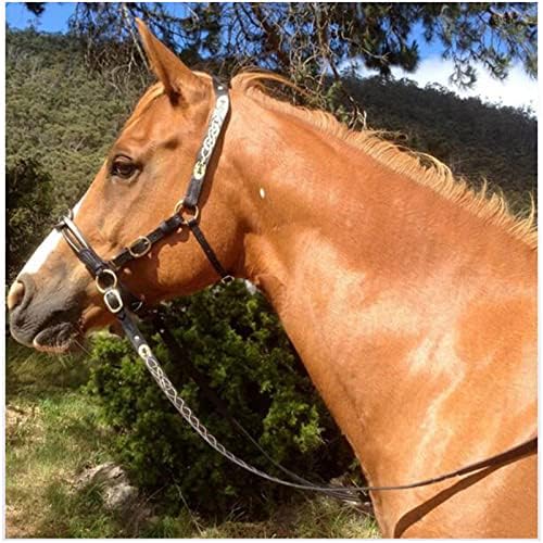 Brides pour cheval - Rênes d'équitation en cuir rembourrées - Boucle de joue simple - Accessoires de course de cheval - Taille ajustable (noir) – Image 2