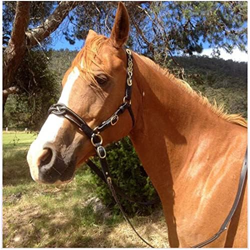 Brides pour cheval - Rênes d'équitation en cuir rembourrées - Boucle de joue simple - Accessoires de course de cheval - Taille ajustable (noir) – Image 3